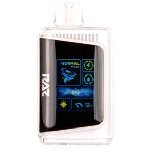 RAZ DC25000 Disposable Vape -Newyork Mint